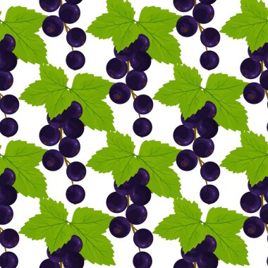 Siyah frenk üzümlü, pürüzsüz desen. Renkli arkaplan.