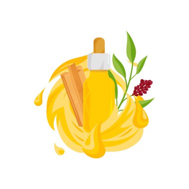 Sandalwood. Oil, plant branch, bark. Vector 