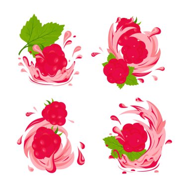 Ahududu, meyve suyu, kampot. Sıçramalar, damlalar, bir tutam meyve suyu. Vektör seti