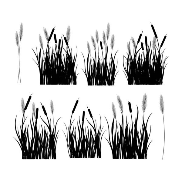 Cattail Swamp Grass Black Silhouette — Vetor de Stock