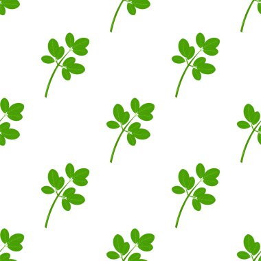 Moringa. Dallar ve yapraklar. Yeşil bir bitki. Kusursuz desen. Vektör