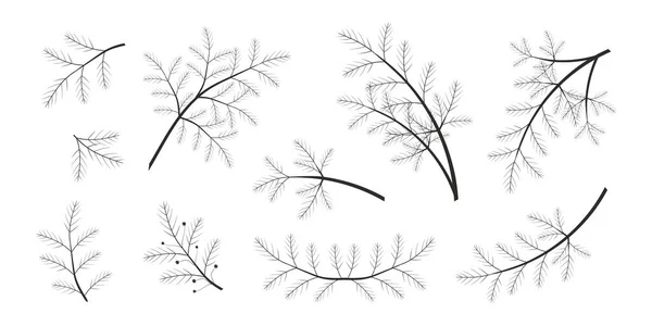 Un conjunto de ramas de abeto, pino. Silueta negra — Vector de stock