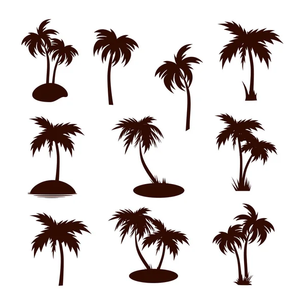 Palmera Silueta Sobre Fondo Blanco Conjunto Vectores — Vector de stock