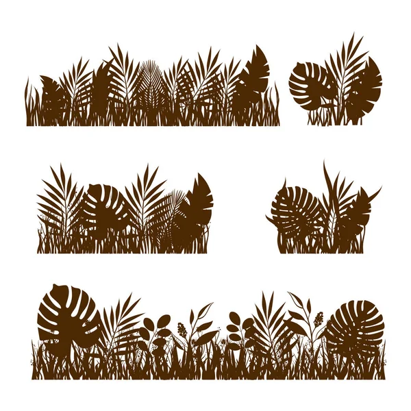 Herbe Tropicale Feuilles Plantes Exotiques Silhouette Ensemble Bordures Pour Design — Image vectorielle