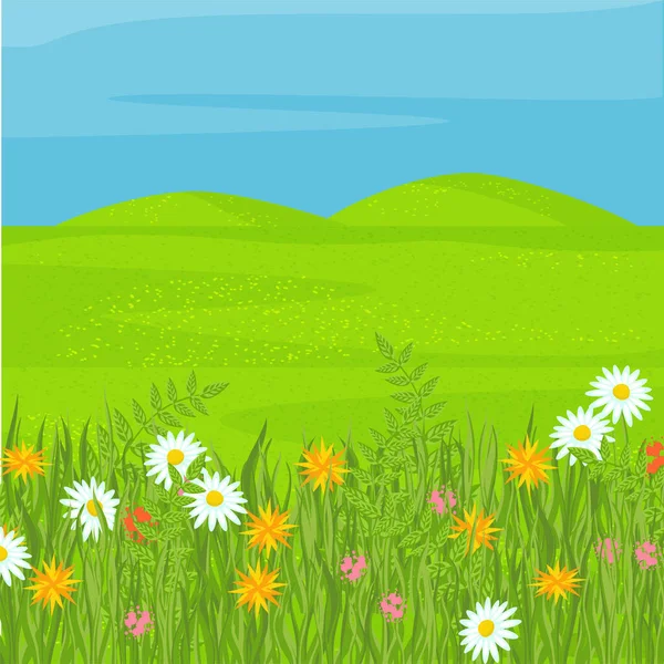 Eine Ebene Mit Grünem Gras Und Blumen Wiese Heller Vektorhintergrund — Stockvektor