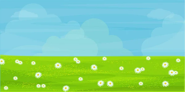 Feld Wiese Mit Kamillenblüten Eine Ebene Mit Weißen Blumen Und — Stockvektor