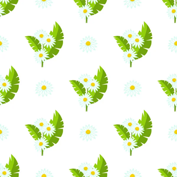 Seamless Pattern Daisies Beautiful Flowers White Background Vector Illustration — Stockvektor