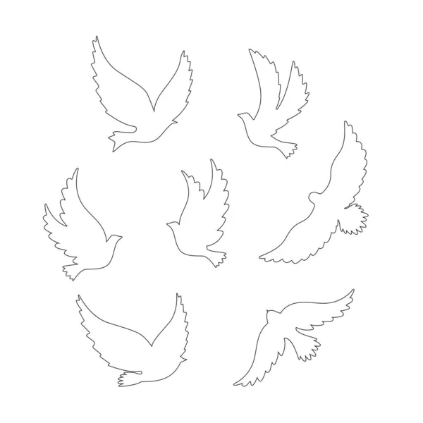 Bird Pigeon Contour Vector Set White Background — 스톡 벡터