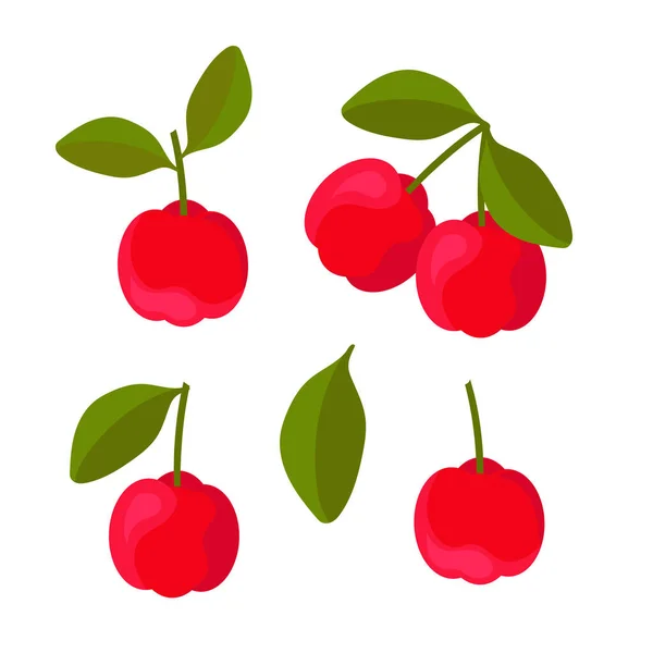 Acerola Berries Vector Set — 스톡 벡터