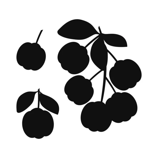 Acerola Black Silhouette Vector — Image vectorielle