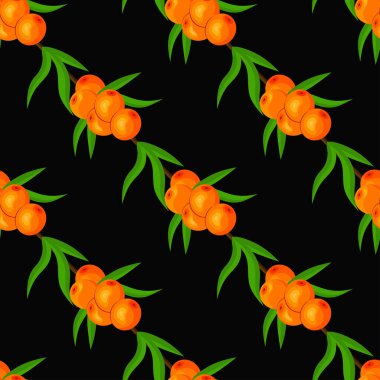 Güzel, dikensiz desenli, deniz dikenli üzümlü. Vektör illüstrasyonu.