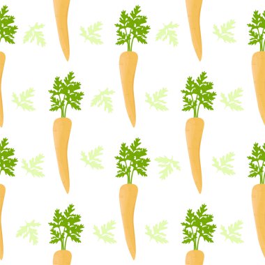 Parsnips. Seamless color pattern. Vector illustration on a white background.