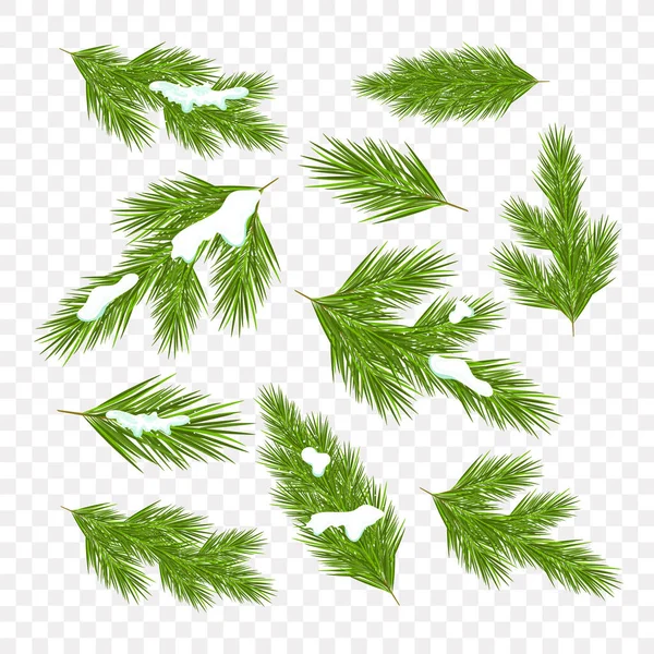 Set Spruce Branches Its Snowing Color Vector Illustration Cartoon Style — Stock Vector