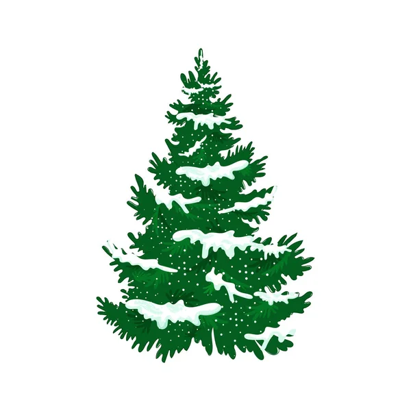 Fluffy Spruce Snow Branches Vector Illustration Cartoon Style White Background – stockvektor