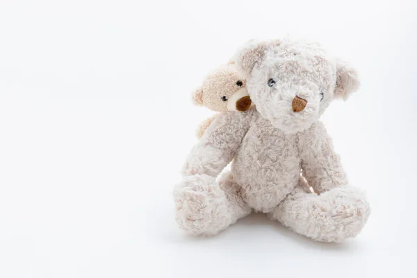 Braune Kleine Teddybär Umarmung Großer Teddy Ist Hinter Isoliert Auf — Stockfoto