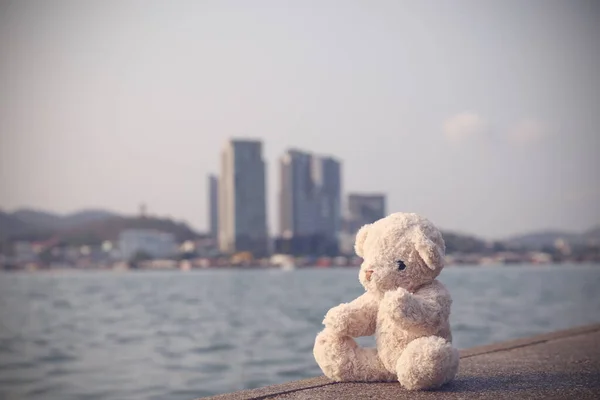 Urso Pelúcia Fofo Marrom Senta Uma Única Ponte Olhando Para — Fotografia de Stock