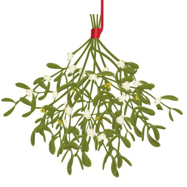 Kırmızı kurdeleli ökseotu sürüsü.