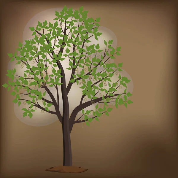 茶色の背景にカエデの木のイラスト — ストックベクタ