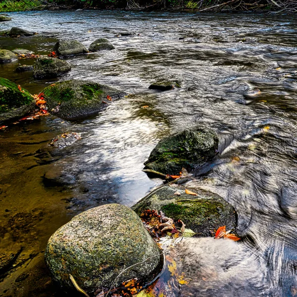 Cerca Las Piedras Del Río Con Color Las Hojas Otoño — Foto de Stock