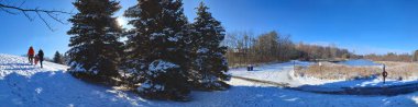 Güneşli bir kış gününde mavi gökyüzüne karşı karla kaplı çam ağaçlarıyla kaplı parkın panoramik manzarası. Kopyalama alanı