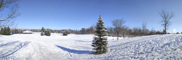 Panoramatický Výhled Veřejný Park Sněhové Bouři — Stock fotografie