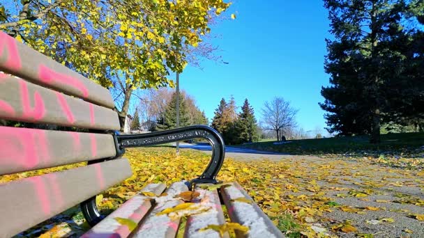 Uno Stile Vita Sano Camminare Nel Parco Pubblico Con Foglie — Video Stock