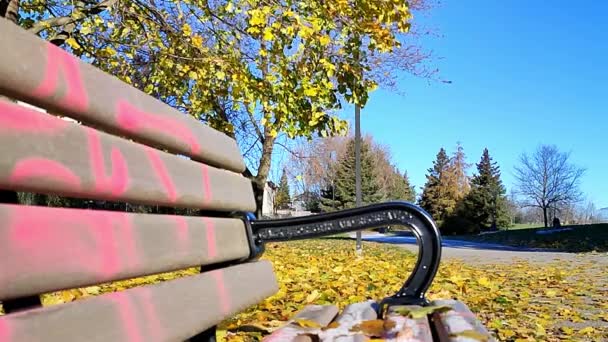 Falling Leaves Autumn Clear Blue Sky Background Public Park — Stock Video