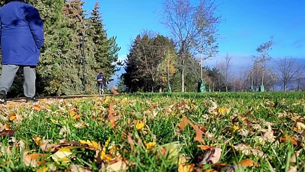 Verkehr Auf Dem Fußweg Park Mit Fahrrädern Familienspaziergänge Der Morgendlichen — Stockvideo