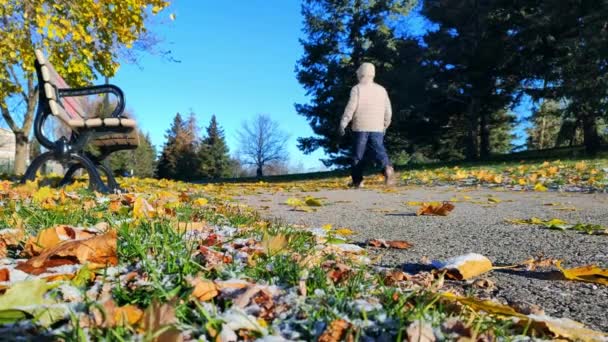 Man Walking Body Stretching Public Park Falling Leaves Autumn — Stock Video