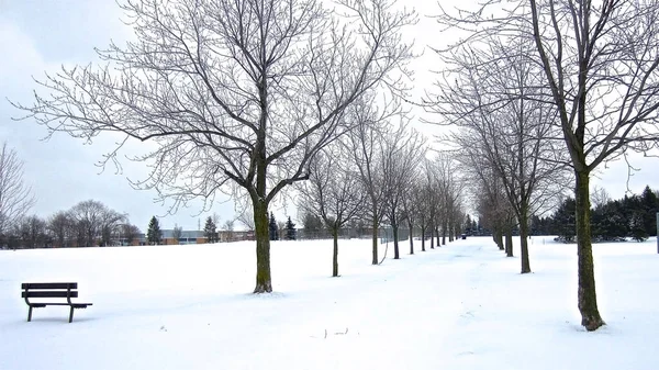 Spokojna Scena Chodnika Podszytym Drzewem Obfitych Opadach Śniegu Zimowa Sceneria — Zdjęcie stockowe