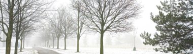 Kışın parkta yürüyüş yapmanın panoramik görüntüsü