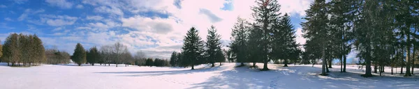 Panoramafoto Des Waldes Öffentlichen Park Bei Tiefem Schnee Winter — Stockfoto