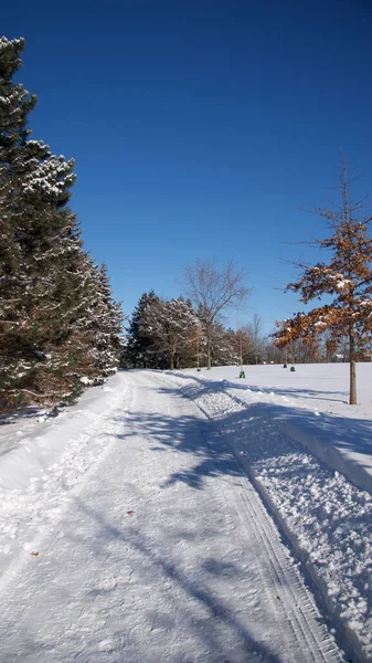 Sendero Con Nieve Profunda Para Concepto Clima Invernal — Foto de Stock