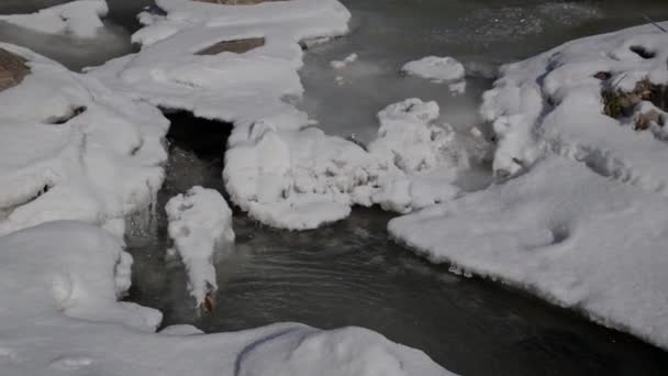 Paisagem Inverno Rio Gelado Vale Rio — Vídeo de Stock