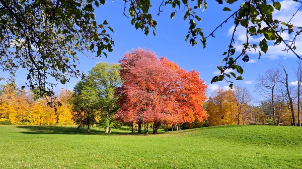Общественный Парк Осенью Фоне Голубого Неба — стоковое фото