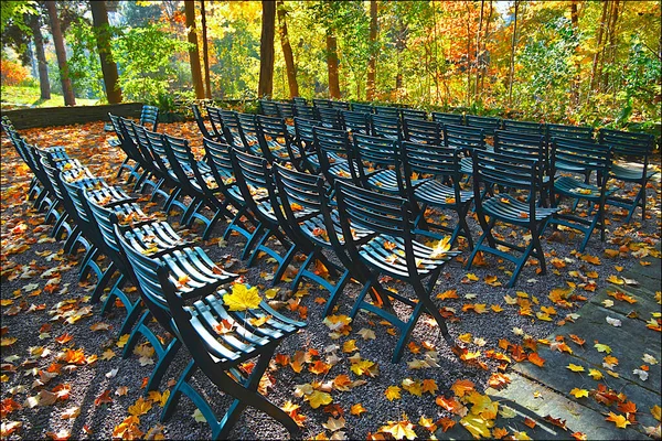 Autumn leaf colour with outdoor chair in an outdoor wedding party.
