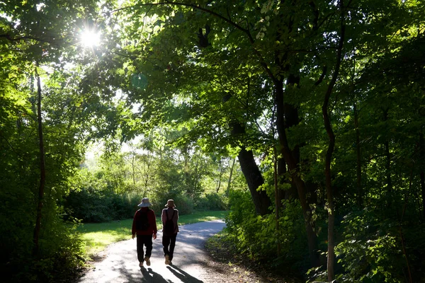 Senior adults walking  in the public park with lens flare