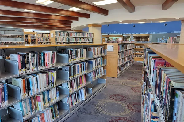 Biblioteca Pubblica Librerie Con Libri Libri Testo Concetto Apprendimento Istruzione — Foto Stock