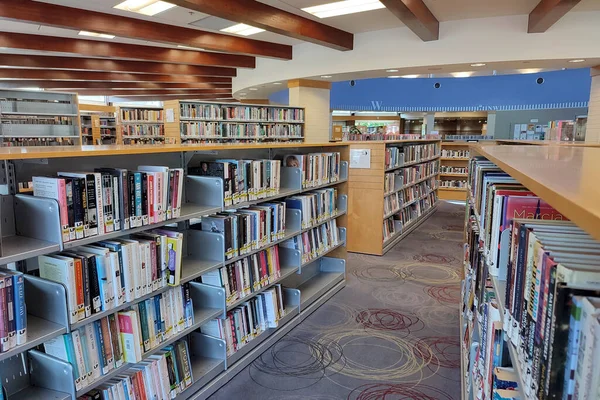 Biblioteca Pública Estanterías Con Libros Libros Texto Concepto Aprendizaje Educación —  Fotos de Stock