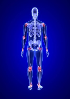 Eklem ağrısı. Mavi İnsan Anatomisi Vücut ve İskelet 3D Tarama mavi arka planda