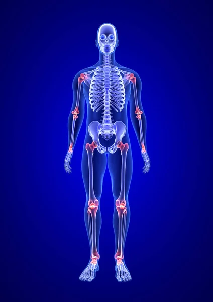 Dolor articular. Blue Human Anatomy Body y Skeleton 3D Scan renderizado sobre fondo azul desde la vista frontal — Foto de Stock
