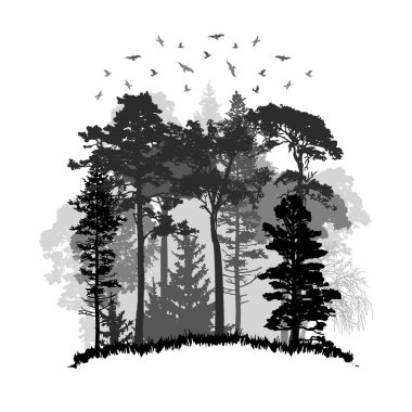 Vahşi kozalaklı orman, stok vektör görüntüsü