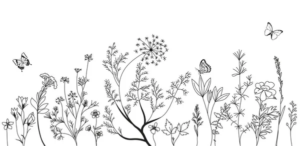 白色背景下的草本 花和草本植物的黑色轮廓 手绘素描花和昆虫 — 图库矢量图片