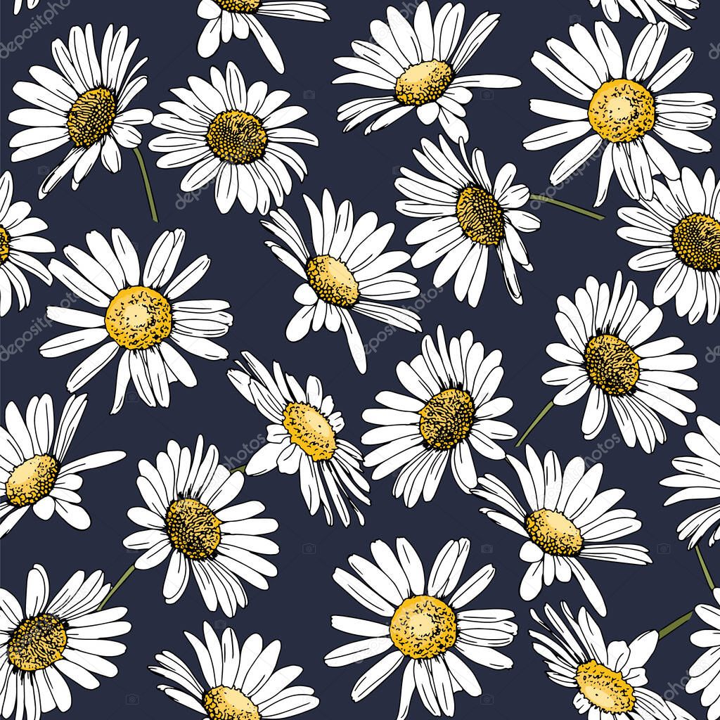 Flower seamless pattern. Field herbs daisy textile print decoration on vintage dark blue background. Fashion traditional illustration vintage. Chamomile plant floral ditsy ornament art