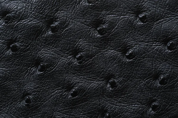 Kusursuz siyah deri dokusuna yakın çekim