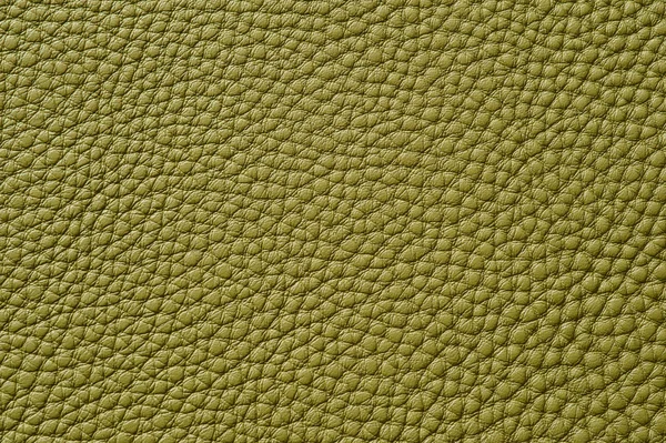 Primo piano della texture in pelle verde senza cuciture — Foto Stock