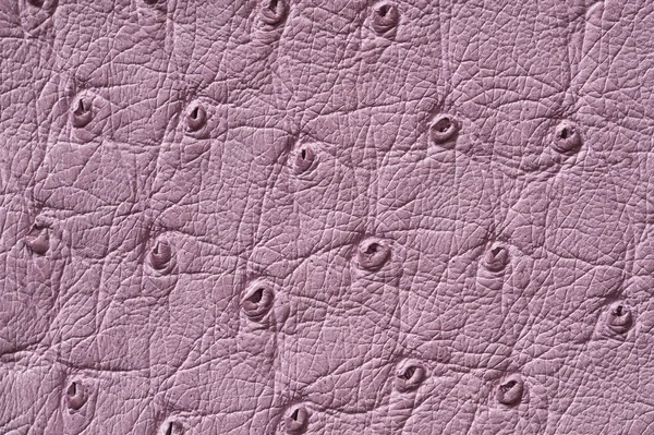 Closeup of seamless lilac leather texture — Stock Photo, Image