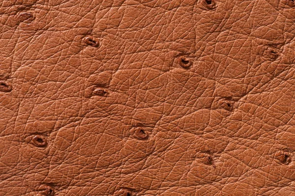 Bezszwowe brązowy skórzany tekstura zbliżenie — Zdjęcie stockowe
