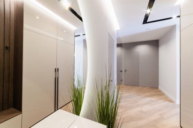 Evin aydınlık duvarları ve aynası olan yeni iç tasarımı. Eve giriş.