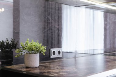 Evin iç tarafındaki yeni mutfakta yeşil bitki var.